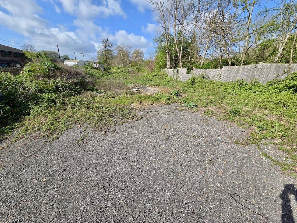 Driveway view, driveway