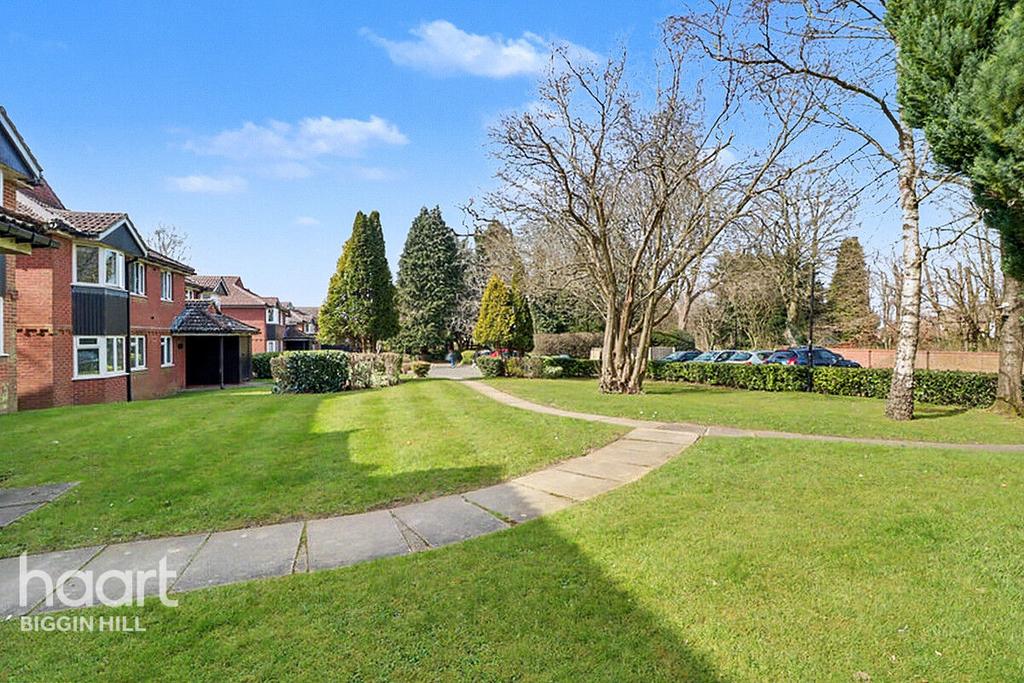 Garden view, garden
