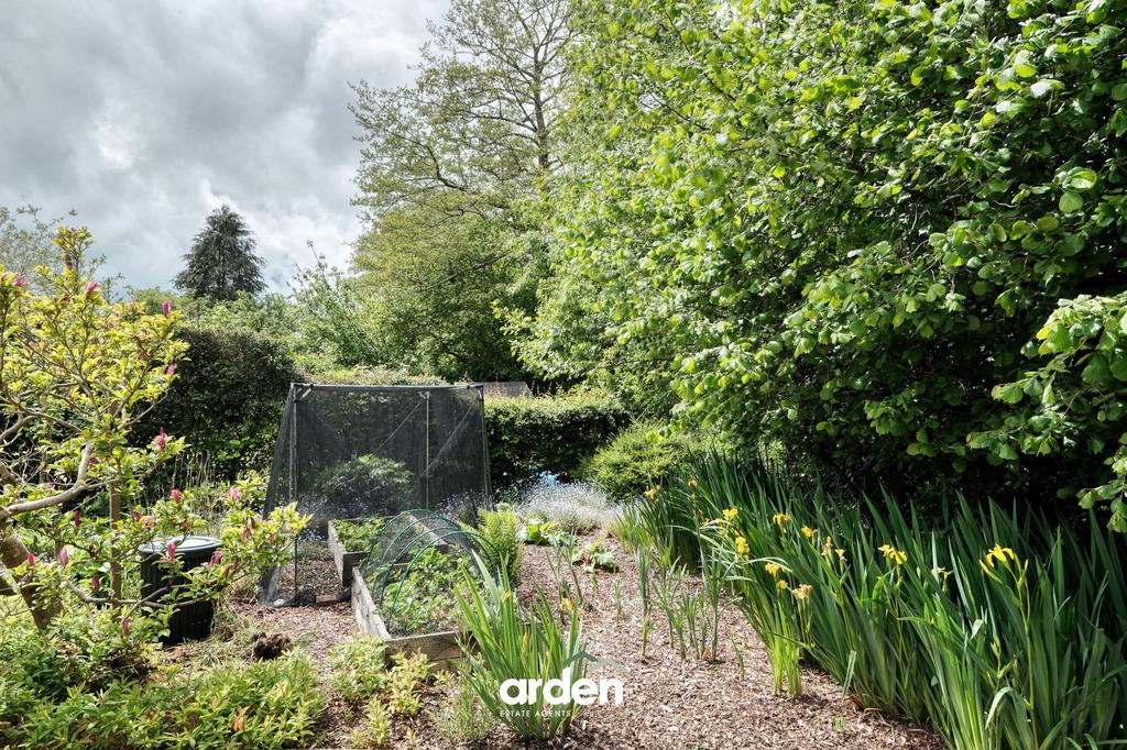 Garden view, garden