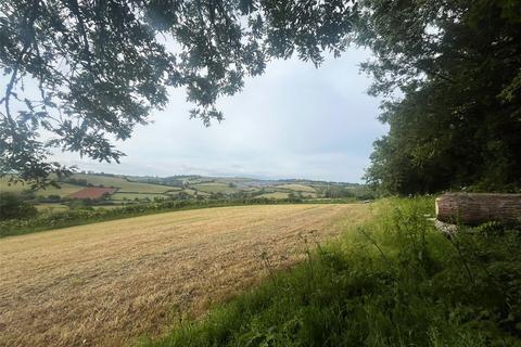 undefined, Kingskerswell, Devon TQ12
