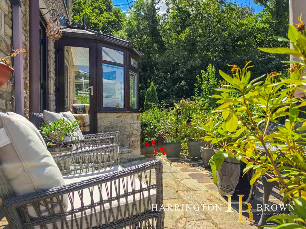 Patio view, garden