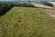 North Tawton, Devon photo 4