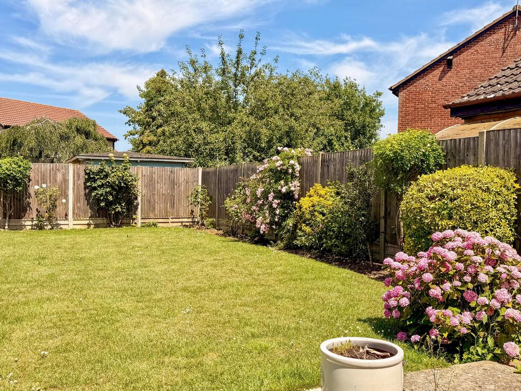 Garden view, garden