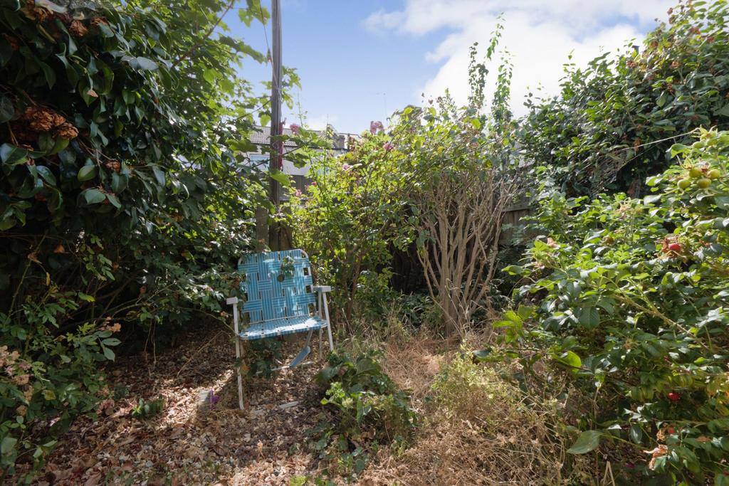Garden view, garden