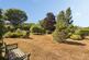 BIDDENDEN ROAD, ST. MICHAELS photo 2