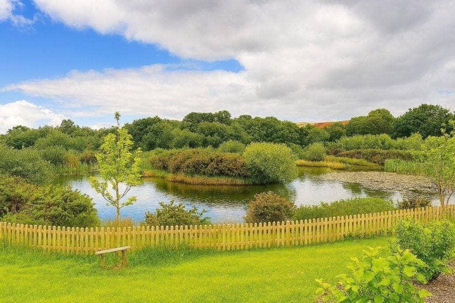 Garden view, garden