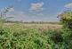 De La Bere Crescent, Burbage photo 4