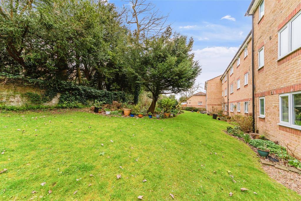 Garden view, garden