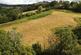 Taliaris, Llandeilo, SA19 photo 3