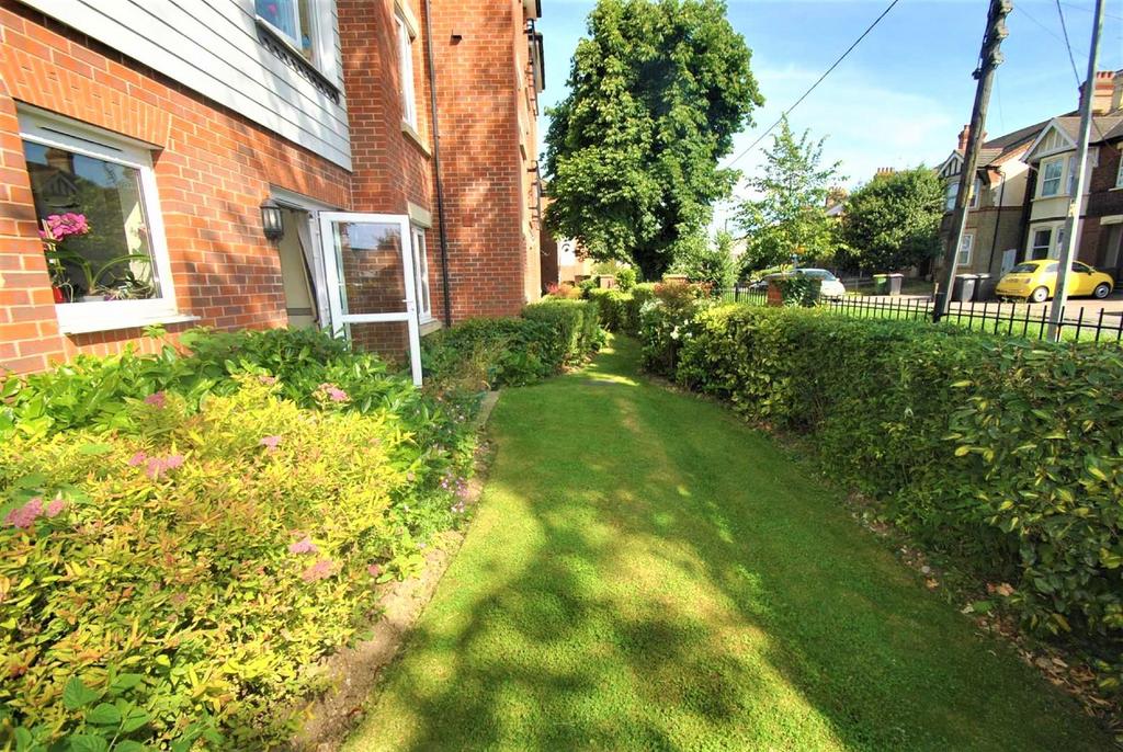 Garden view, garden
