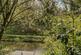 Moonrakers, Devizes photo 2