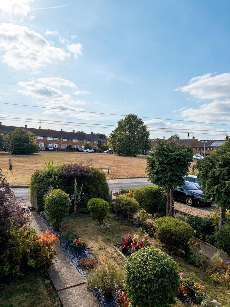 Garden view, garden