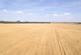 Lot 1 - Land At Beeford and Foston, Beeford, Driffield, East Riding of Yorkshi, YO25