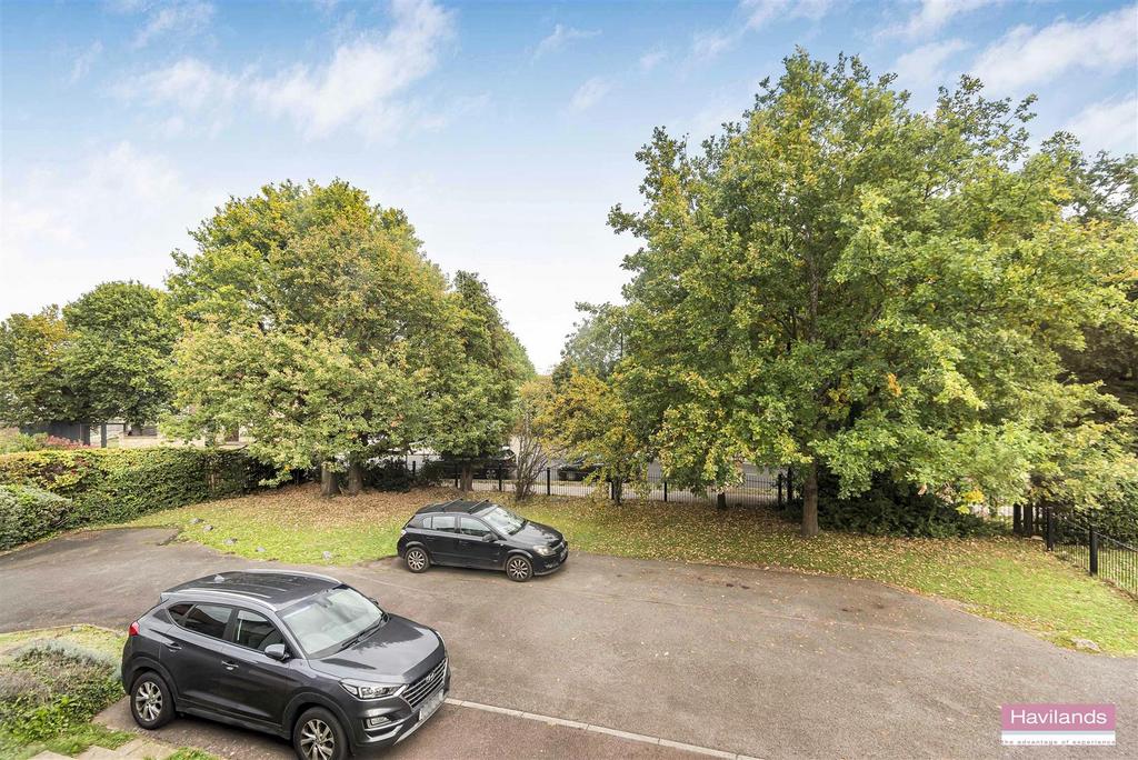 Driveway view, driveway