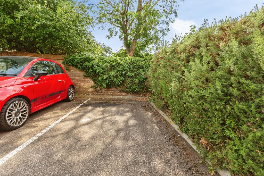 Driveway view, driveway