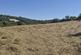 Land At Brynglas, Llangeitho