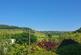 Capel Dewi, Aberystwyth photo 4