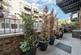 Rolfe Terrace, Woolwich photo 2
