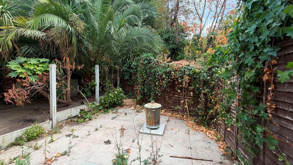 Courtyard, garden