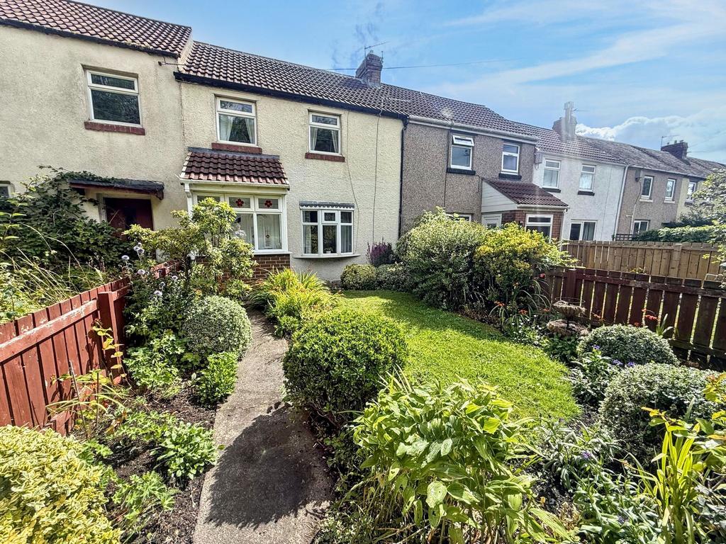 Garden view, garden