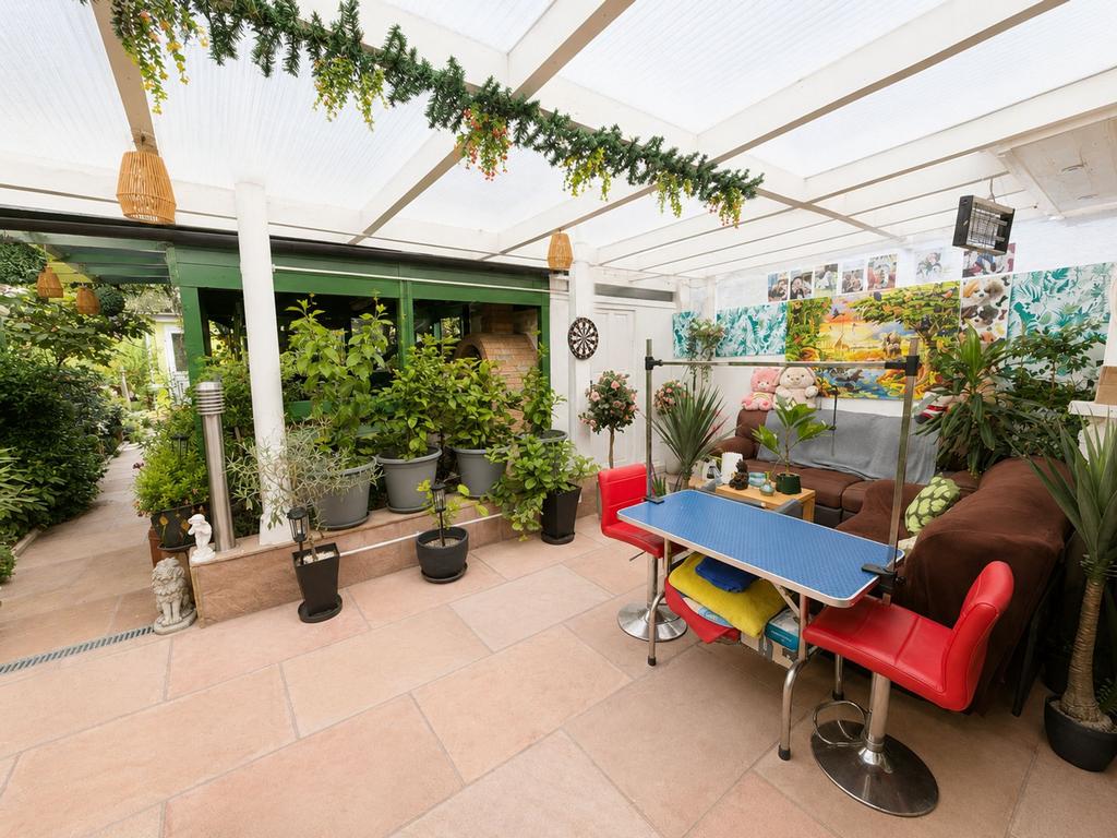 Conservatory interior, conservatory
