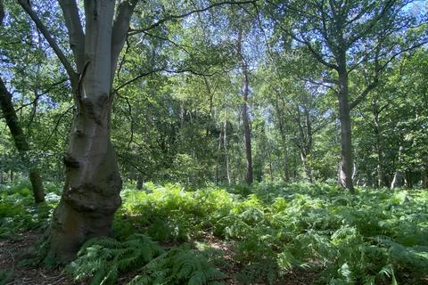 Farm land for sale, Woodland, Reepham Road, Swannington, Norwich, Norfolk, NR9 5TB