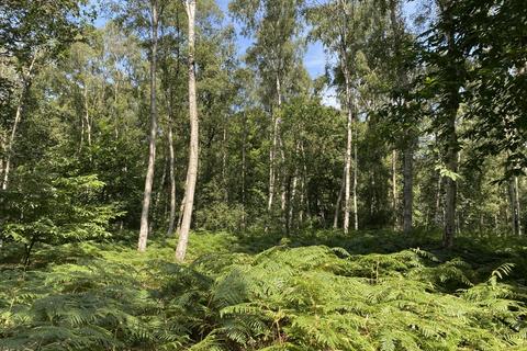 Farm land for sale, Woodland, Reepham Road, Swannington, Norwich, Norfolk, NR9 5TB