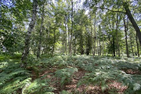 Farm land for sale, Woodland, Reepham Road, Swannington, Norwich, Norfolk, NR9 5TB