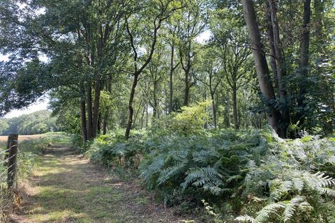 Farm land for sale, Woodland, Reepham Road, Swannington, Norwich, Norfolk, NR9 5TB