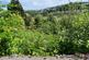 Plot 1 Polvellan Terrace, Looe, Cornwall, PL13 2EB