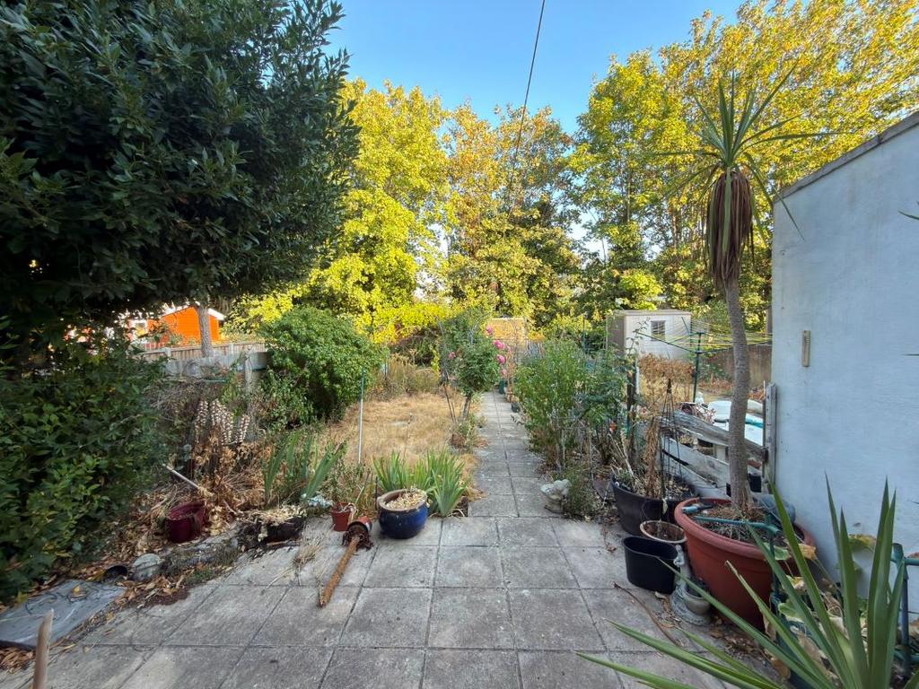 Garden view, garden