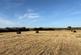 Land At Slade Lane, Axbridge BS26