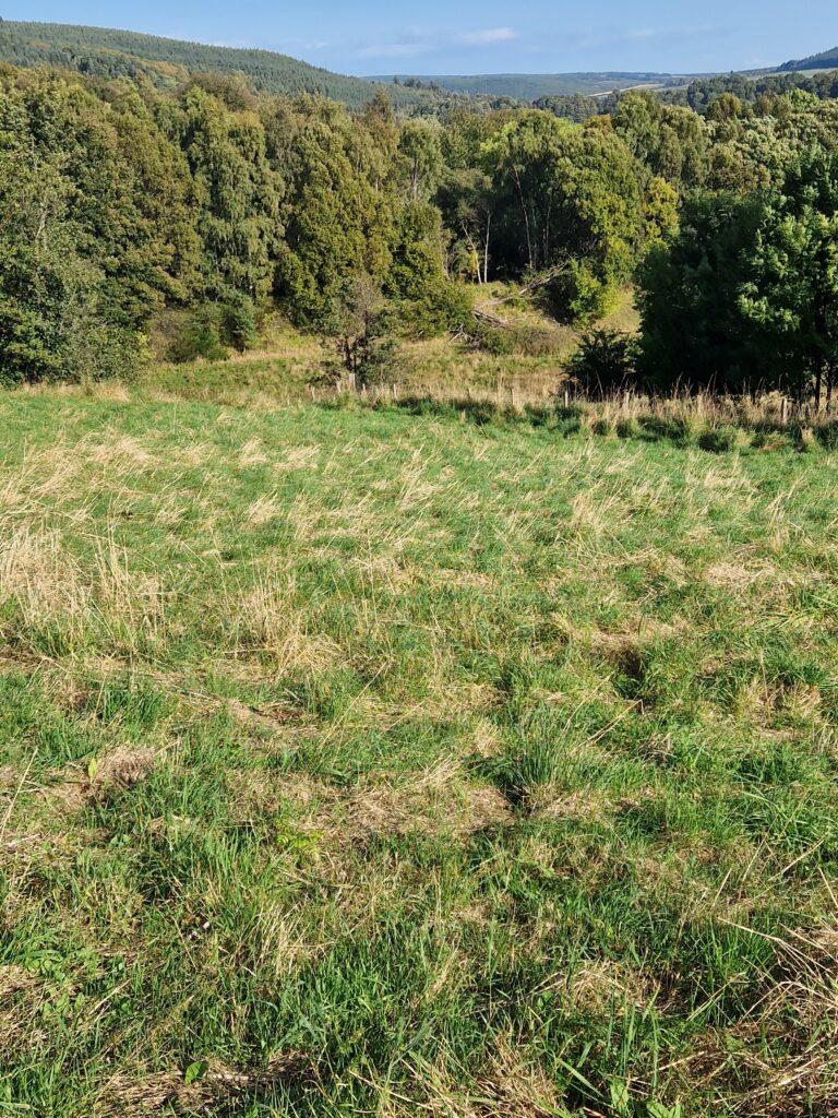 Hillside House, Moray AB38 - View 5