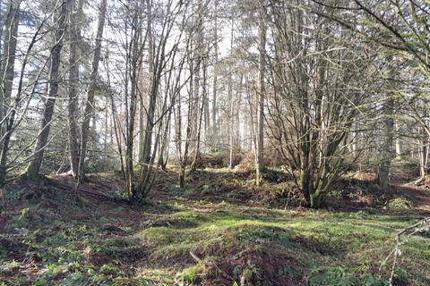 Land for sale, Braco, Perthshire FK15