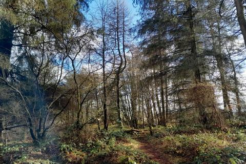 Land for sale, Braco, Perthshire FK15