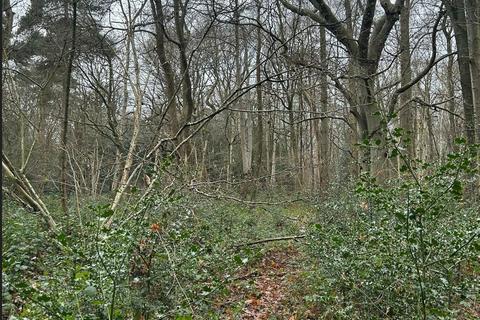 undefined, Long Reach, Ockham, Woking GU23