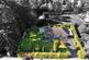 Common Lane, Betley, CW3