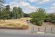 Wimborne photo 4