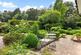 West Hill, Devon photo 2
