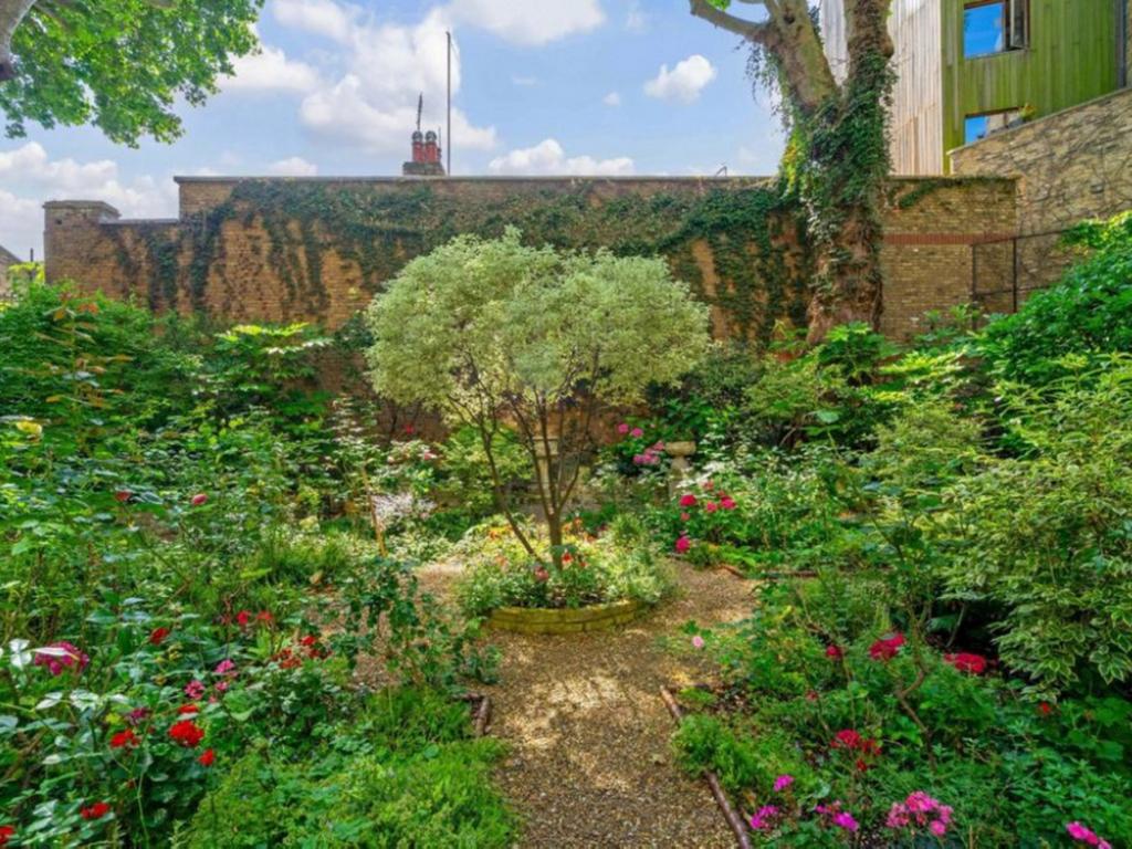Garden view, garden