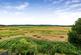 Little Dippers, Pulborough, West Sussex, RH20