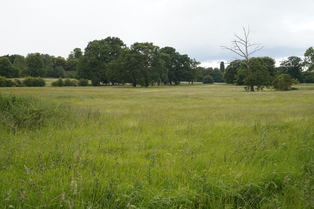 Hollybush Lane , Codsall WV8 - View 2