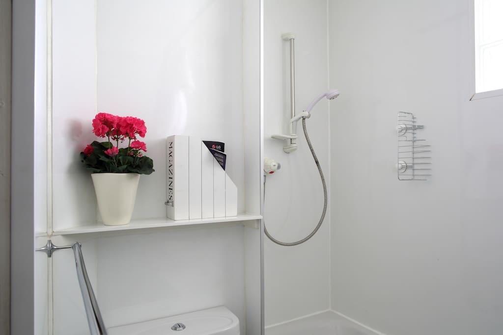 Apartment in Edinburgh, St Leonards, Southside - View 5
