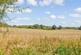 Forstal Lane, Harrietsham, Maidstone, Kent