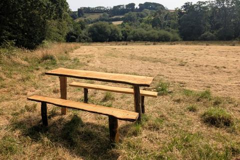 Woodland for sale, (Nearly One and a half acres), Near Aveton Gifford, Modbury, Devon PL21