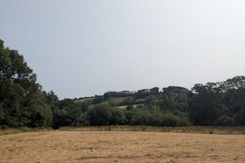 Woodland for sale, (Nearly One and a half acres), Near Aveton Gifford, Modbury, Devon PL21