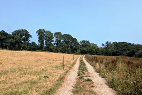 Woodland for sale, (Nearly One and a half acres), Near Aveton Gifford, Modbury, Devon PL21