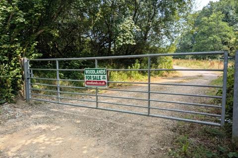 Woodland for sale, (Nearly One and a half acres), Near Aveton Gifford, Modbury, Devon PL21