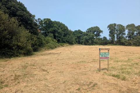 Woodland for sale, (Nearly One and a half acres), Near Aveton Gifford, Modbury, Devon PL21