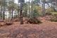 Upper Bourne Lane, Farnham, GU10